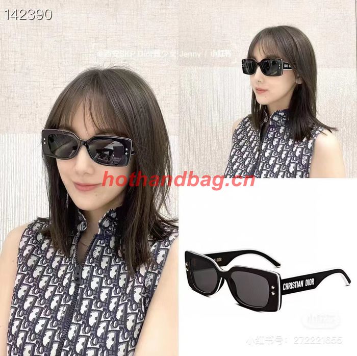 Dior Sunglasses Top Quality DIS01080