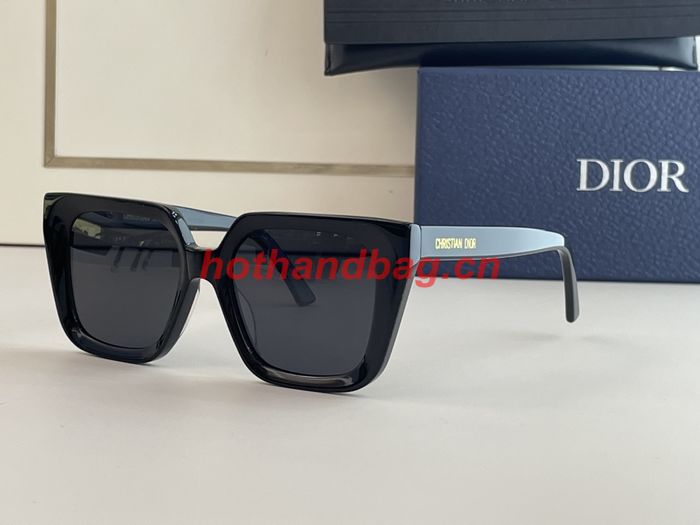 Dior Sunglasses Top Quality DIS01101