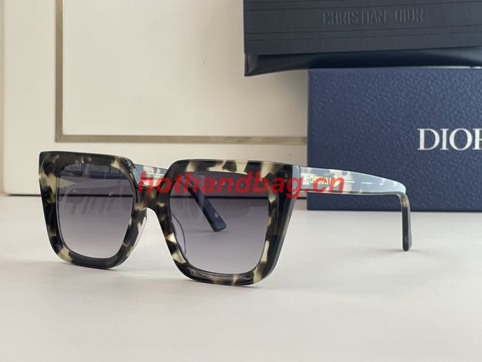 Dior Sunglasses Top Quality DIS01104