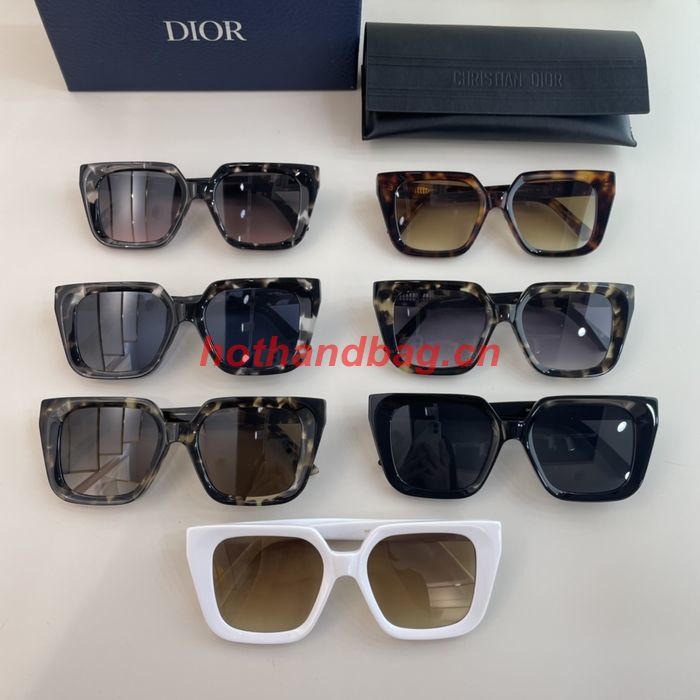 Dior Sunglasses Top Quality DIS01106