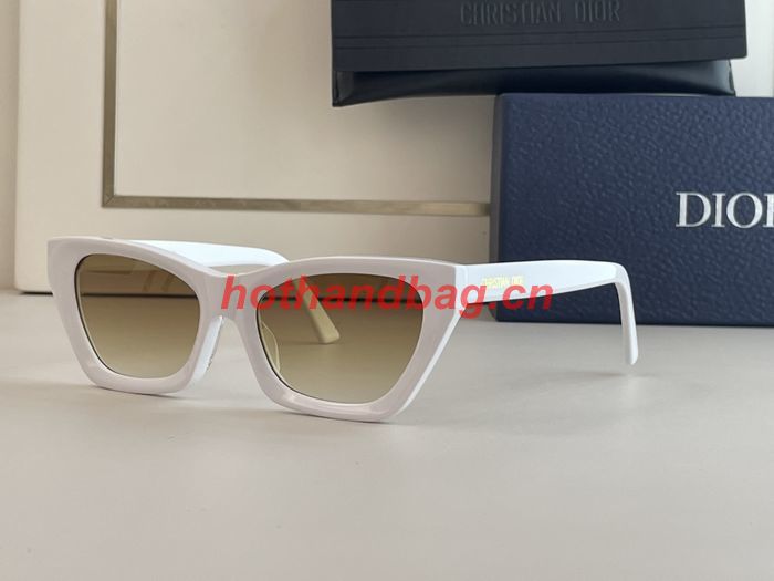 Dior Sunglasses Top Quality DIS01109