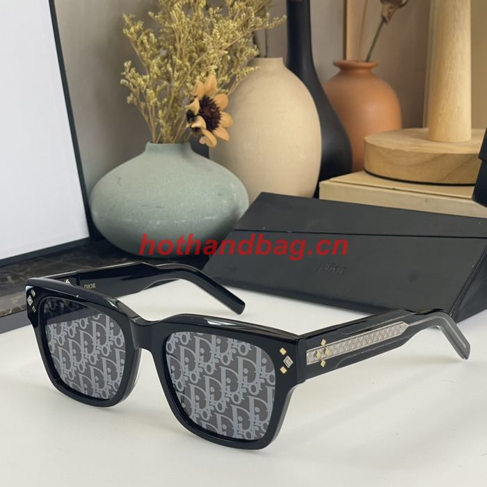 Dior Sunglasses Top Quality DIS01192