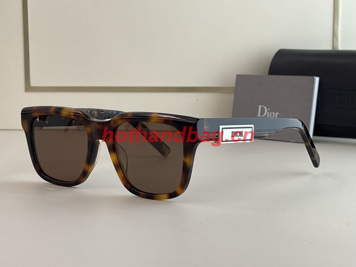 Dior Sunglasses Top Quality DIS01308