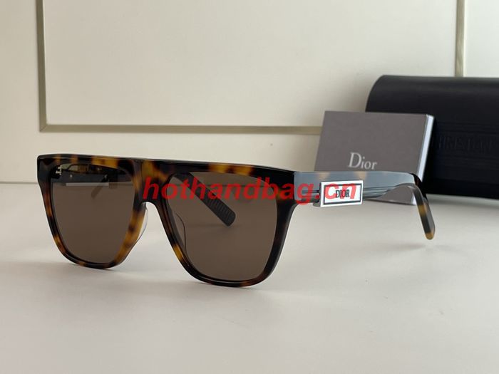 Dior Sunglasses Top Quality DIS01315