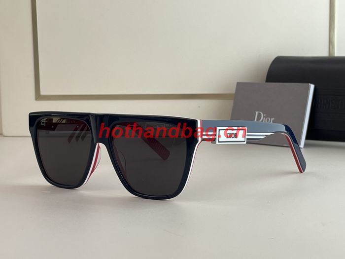 Dior Sunglasses Top Quality DIS01317
