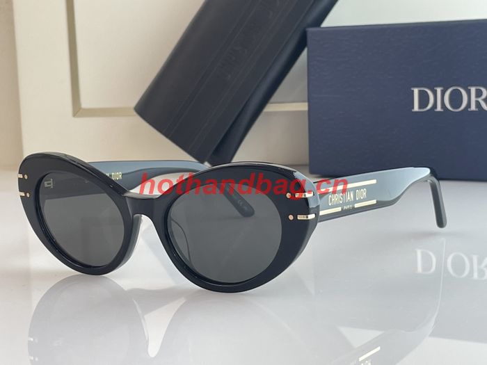Dior Sunglasses Top Quality DIS01332