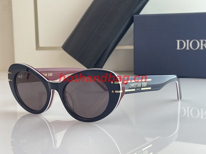 Dior Sunglasses Top Quality DIS01333