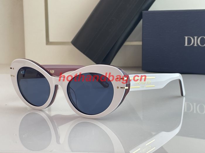 Dior Sunglasses Top Quality DIS01334