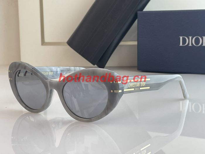 Dior Sunglasses Top Quality DIS01335