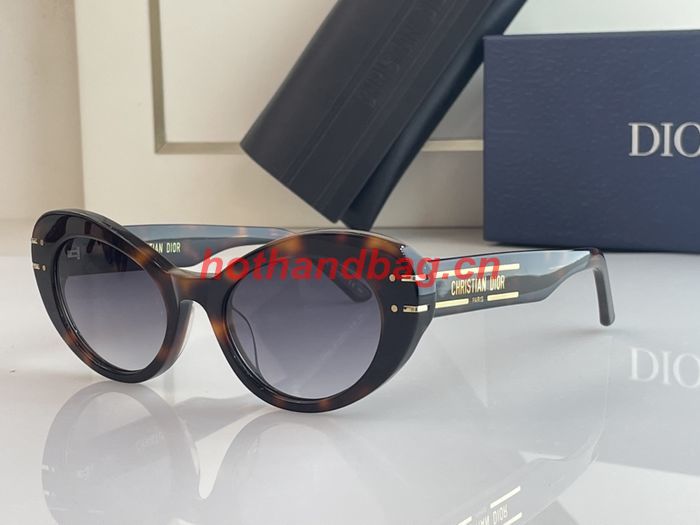 Dior Sunglasses Top Quality DIS01338