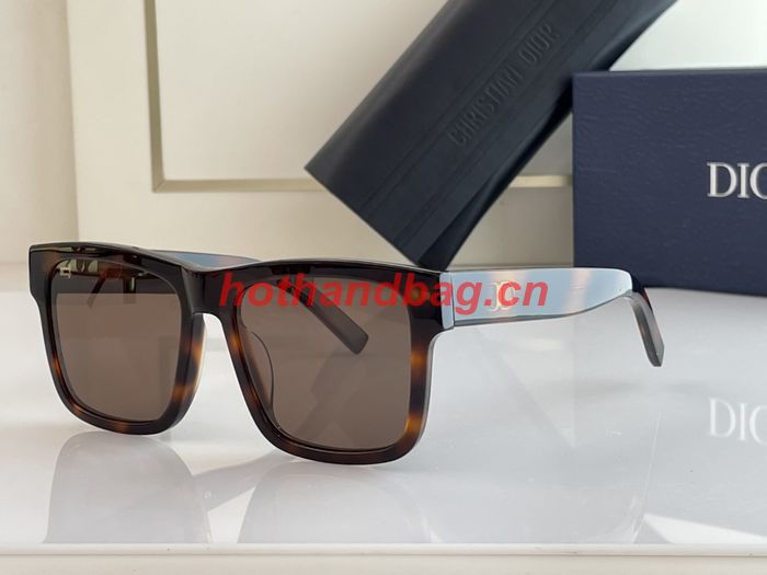 Dior Sunglasses Top Quality DIS01342