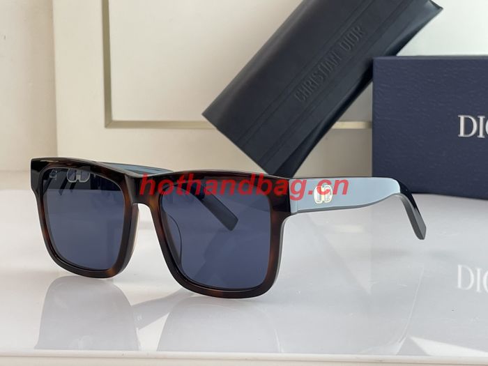 Dior Sunglasses Top Quality DIS01344