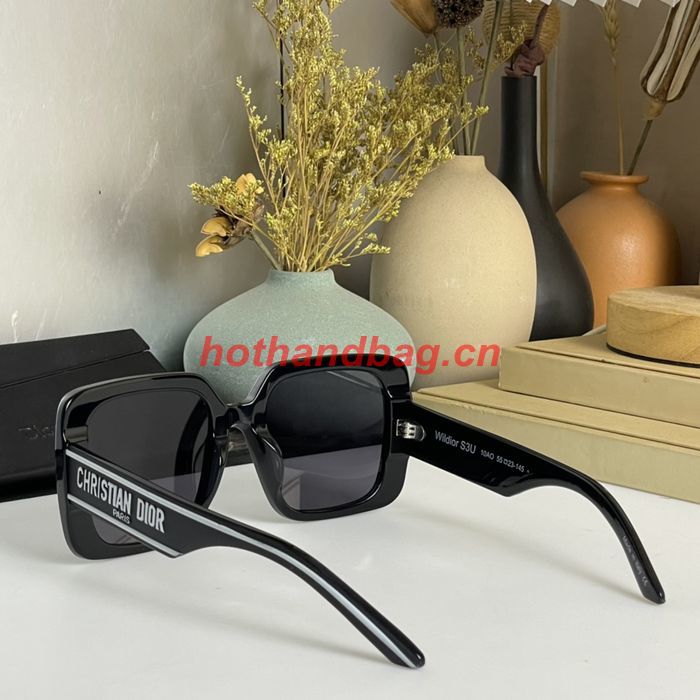 Dior Sunglasses Top Quality DIS01487