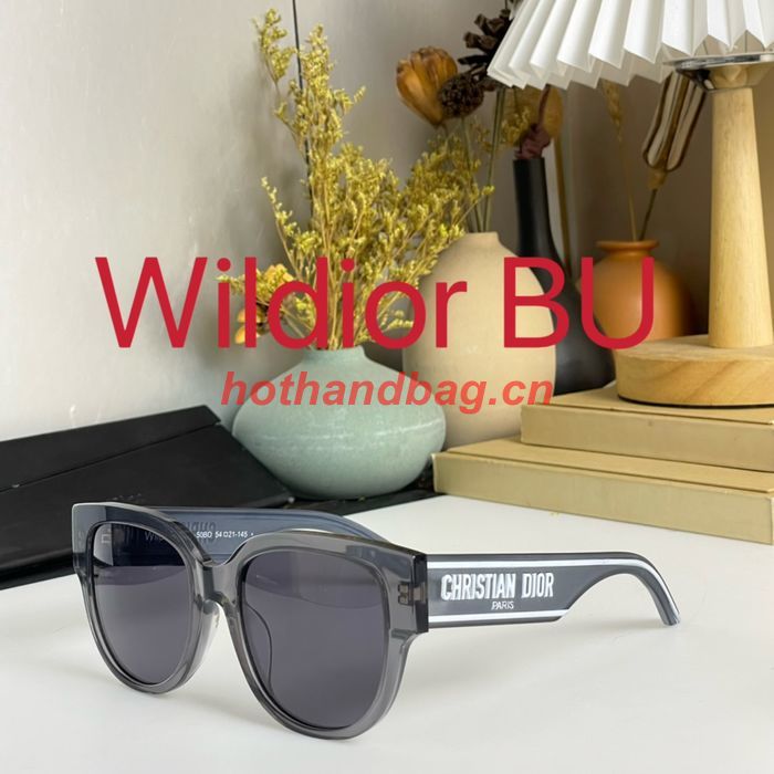 Dior Sunglasses Top Quality DIS01504