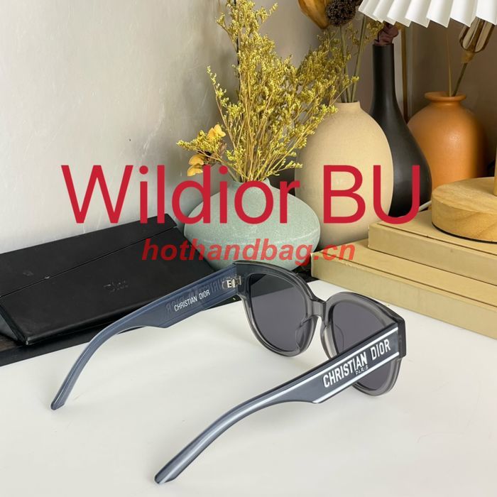 Dior Sunglasses Top Quality DIS01505