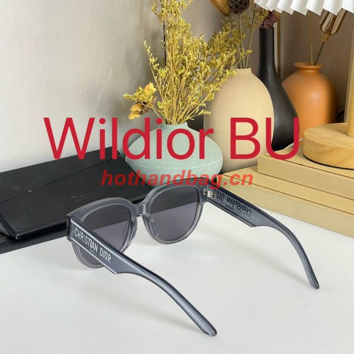 Dior Sunglasses Top Quality DIS01507