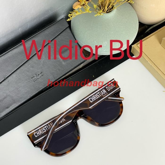 Dior Sunglasses Top Quality DIS01512