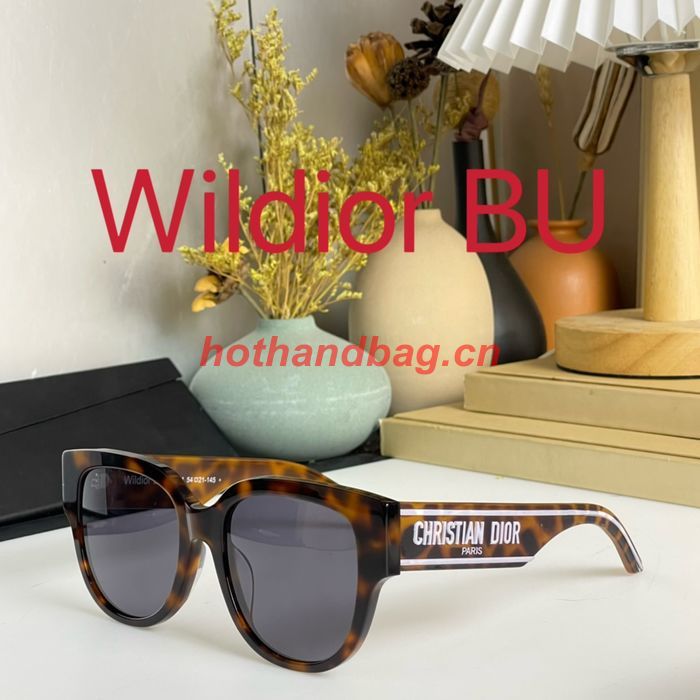 Dior Sunglasses Top Quality DIS01513