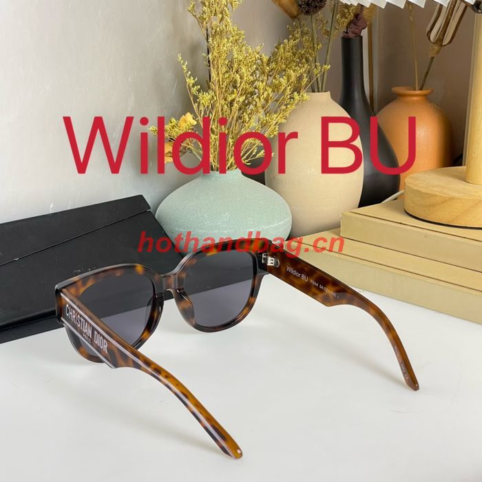 Dior Sunglasses Top Quality DIS01516