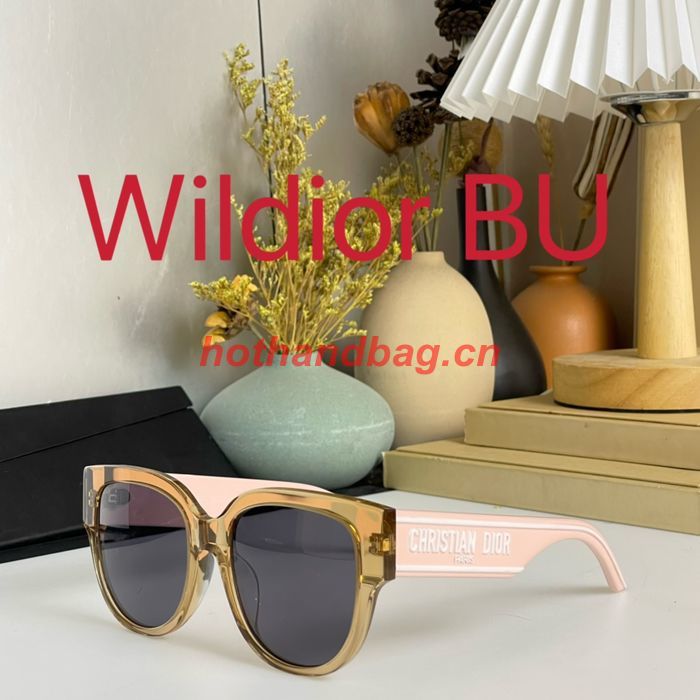 Dior Sunglasses Top Quality DIS01522