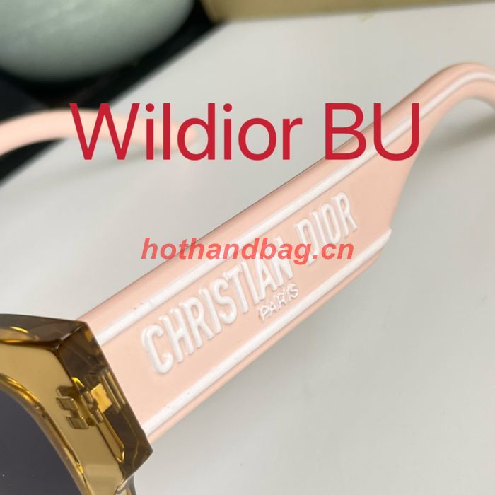 Dior Sunglasses Top Quality DIS01527