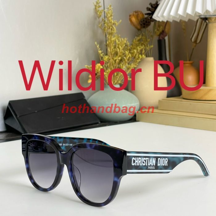 Dior Sunglasses Top Quality DIS01533