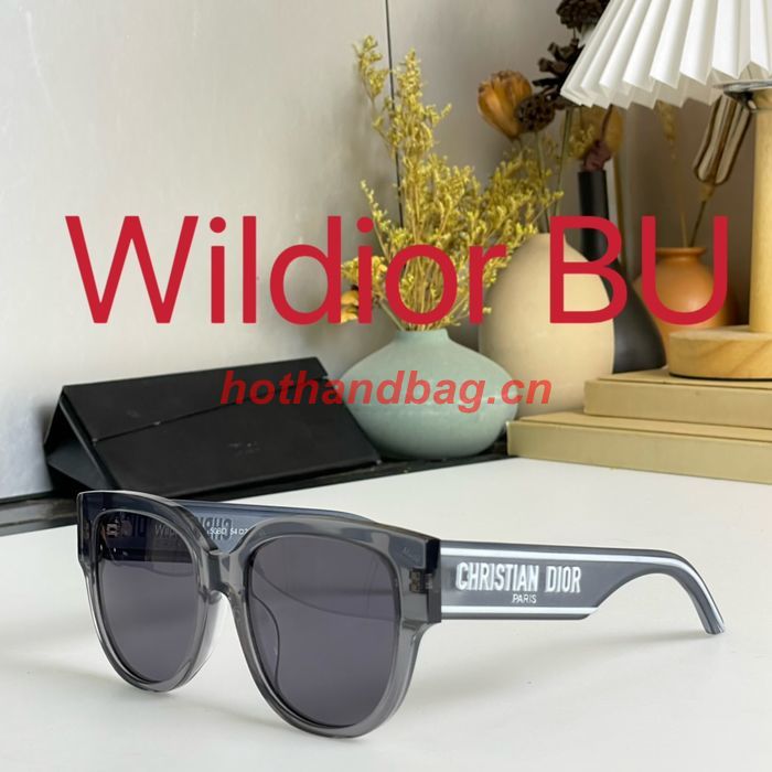 Dior Sunglasses Top Quality DIS01534