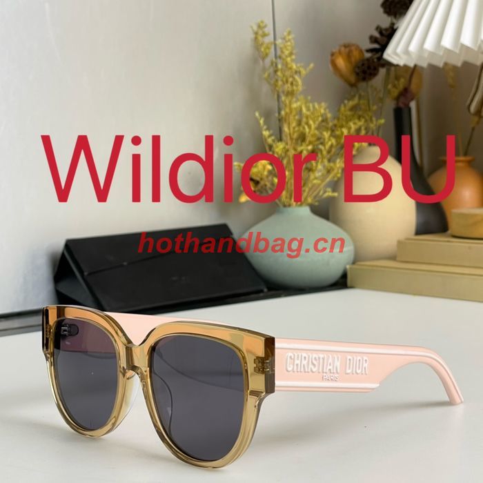 Dior Sunglasses Top Quality DIS01535