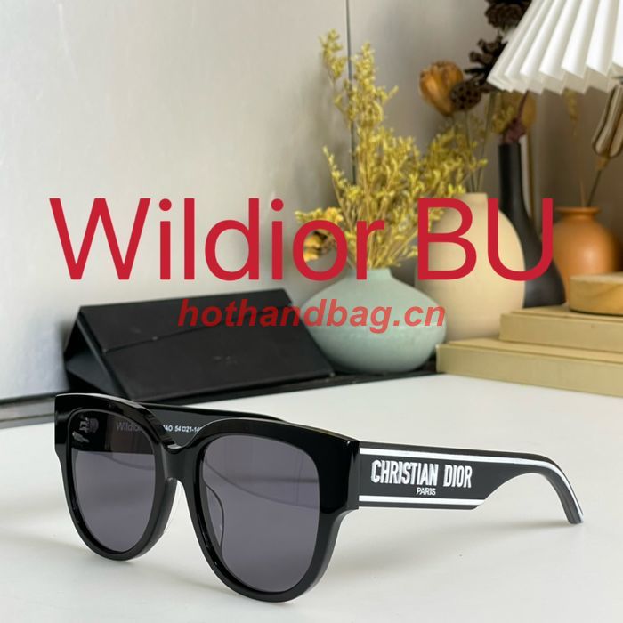 Dior Sunglasses Top Quality DIS01537