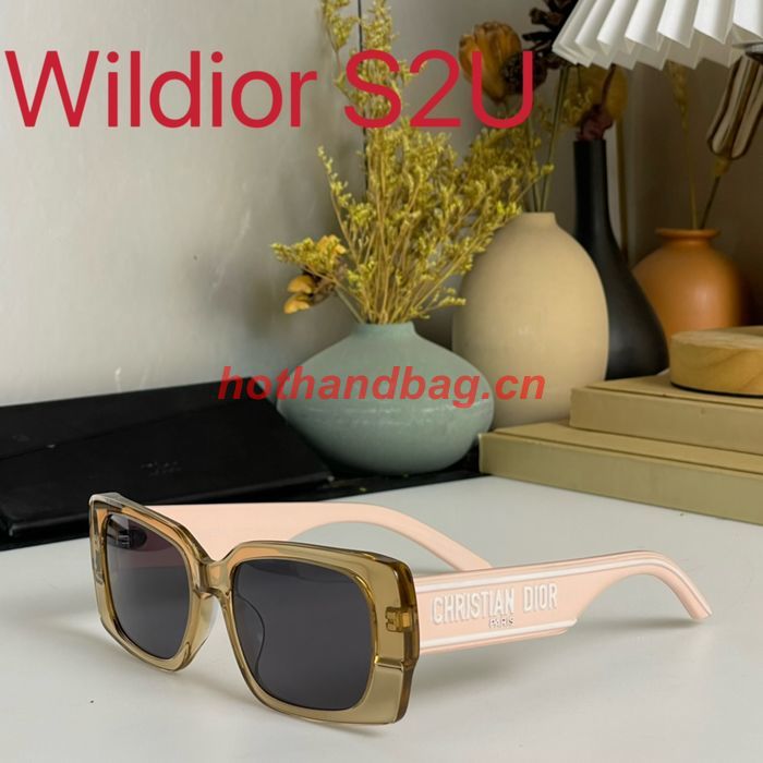 Dior Sunglasses Top Quality DIS01540