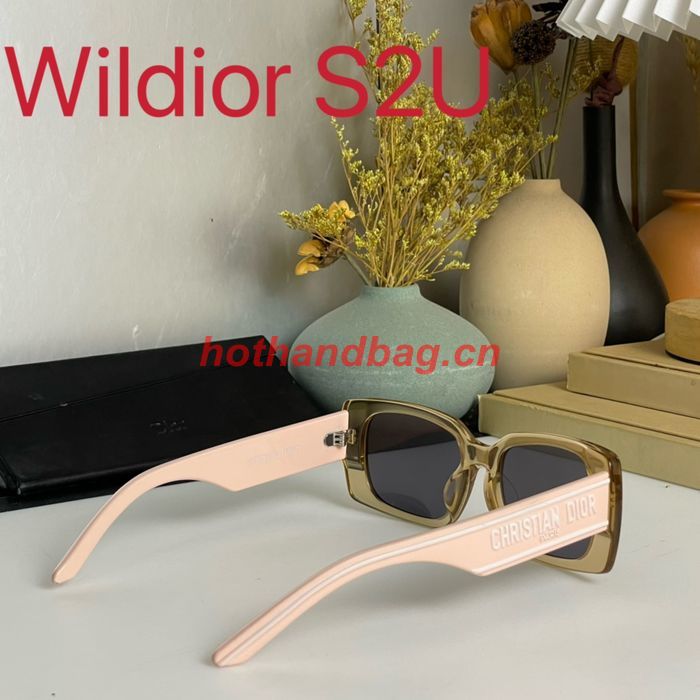 Dior Sunglasses Top Quality DIS01541
