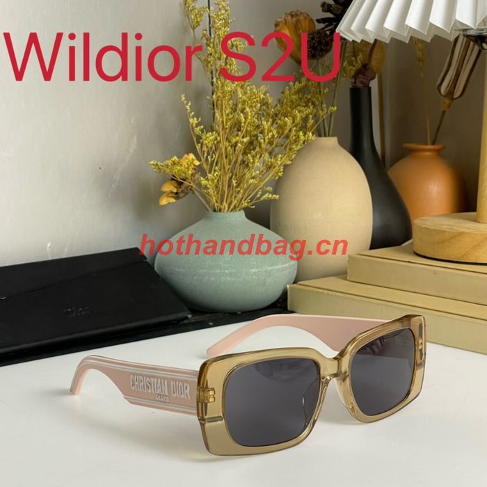 Dior Sunglasses Top Quality DIS01542