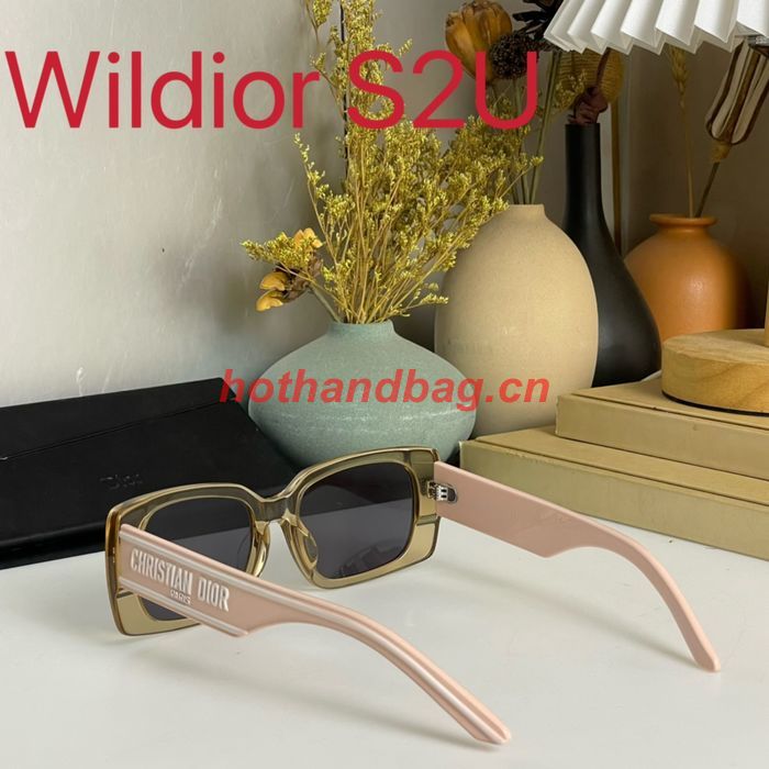 Dior Sunglasses Top Quality DIS01543
