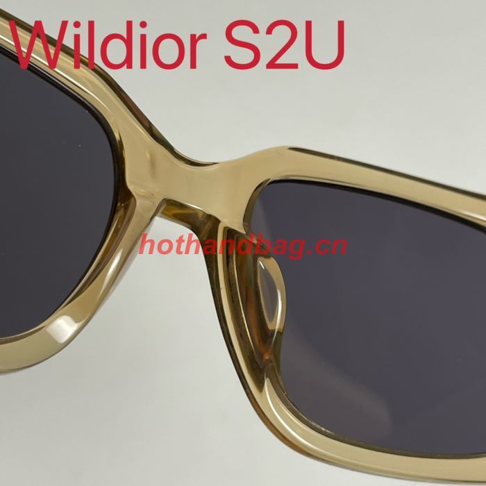 Dior Sunglasses Top Quality DIS01546