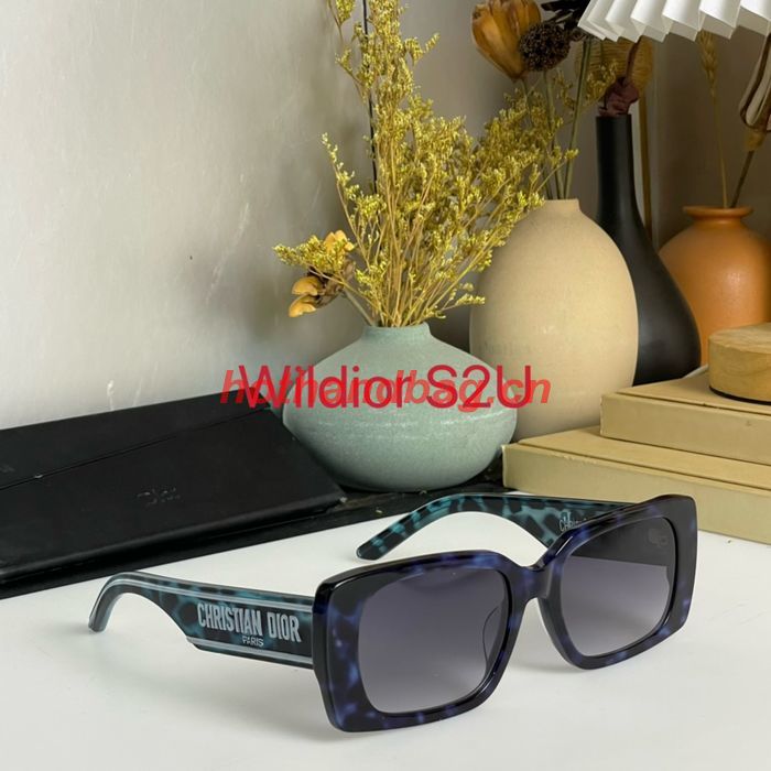 Dior Sunglasses Top Quality DIS01560