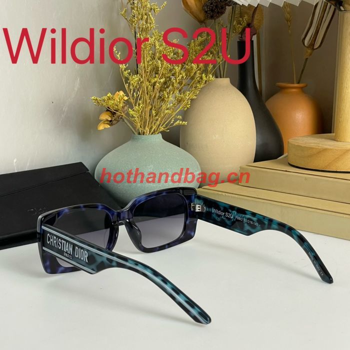Dior Sunglasses Top Quality DIS01561