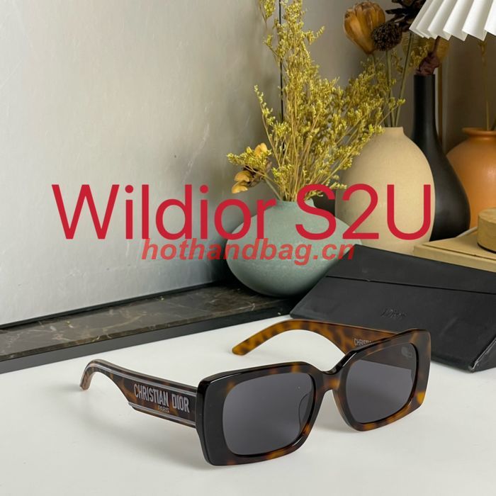 Dior Sunglasses Top Quality DIS01565