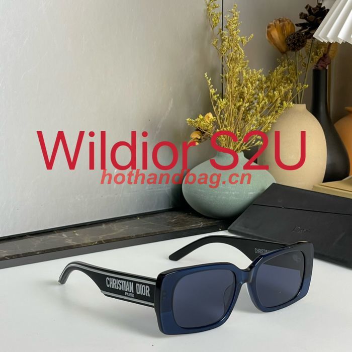 Dior Sunglasses Top Quality DIS01566