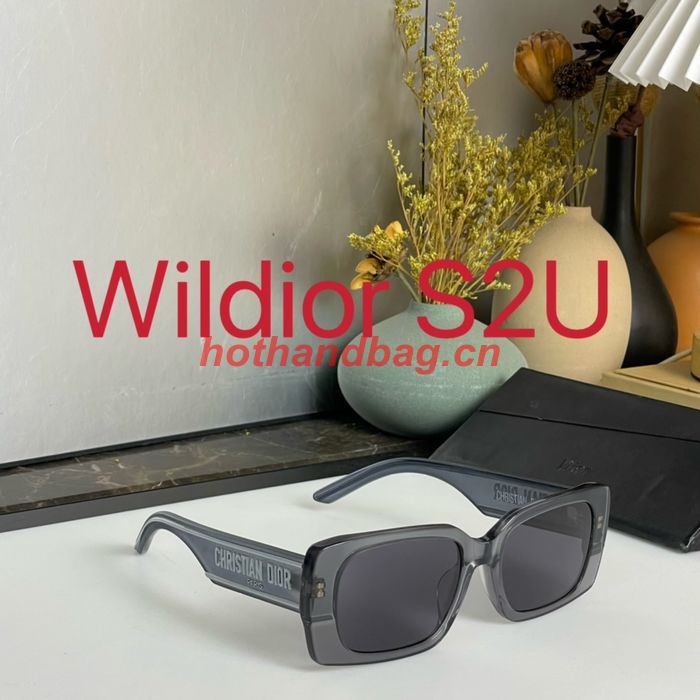 Dior Sunglasses Top Quality DIS01567