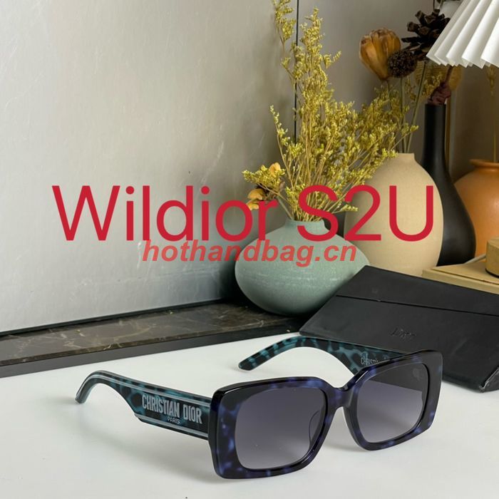 Dior Sunglasses Top Quality DIS01568