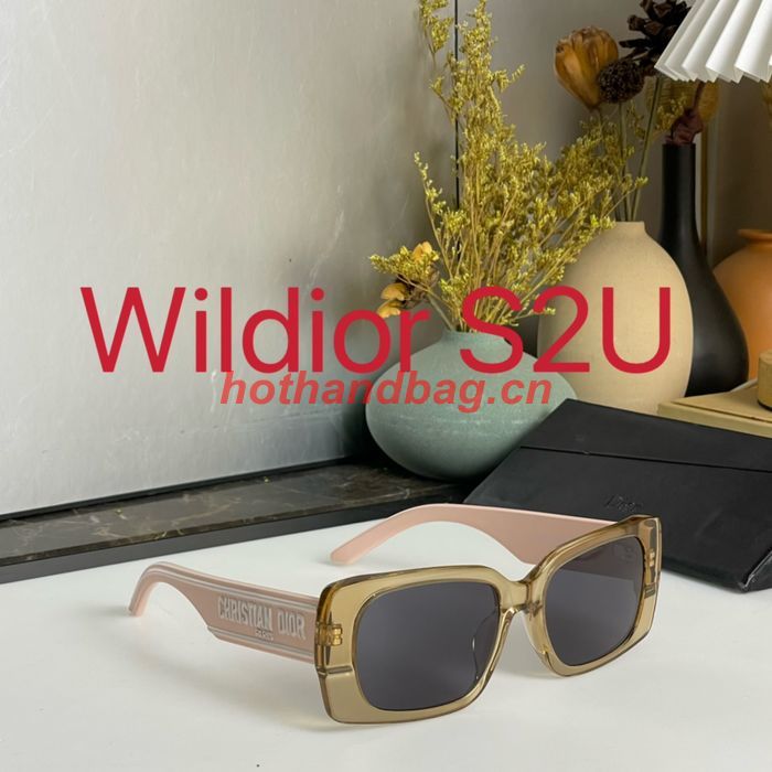 Dior Sunglasses Top Quality DIS01569