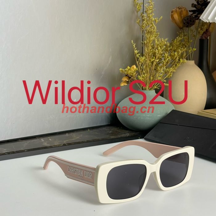 Dior Sunglasses Top Quality DIS01570