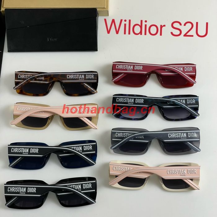 Dior Sunglasses Top Quality DIS01573