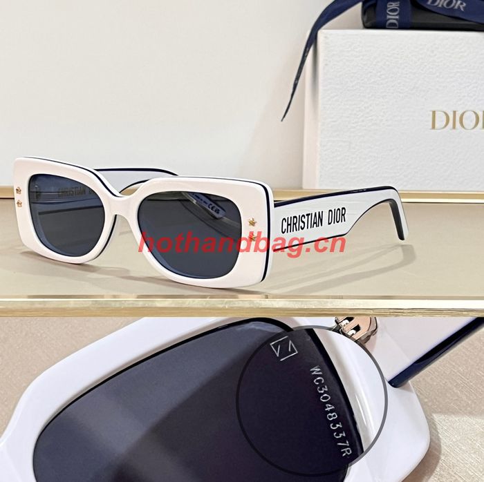 Dior Sunglasses Top Quality DIS01594