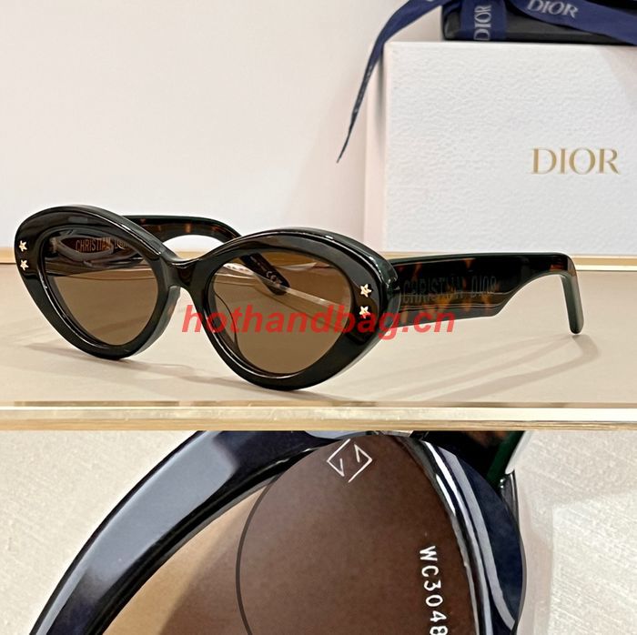 Dior Sunglasses Top Quality DIS01602