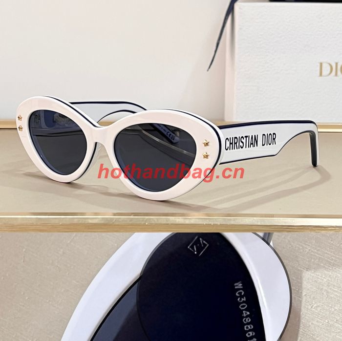 Dior Sunglasses Top Quality DIS01604