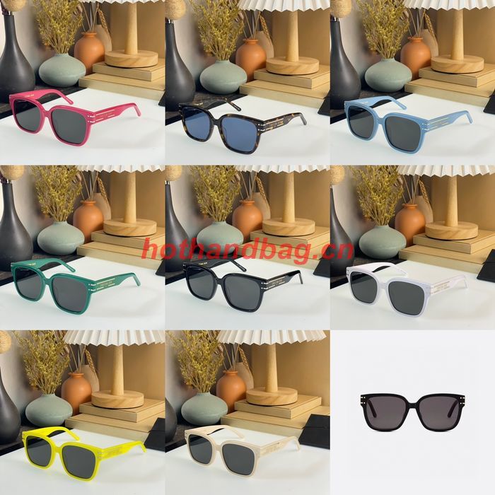 Dior Sunglasses Top Quality DIS01727