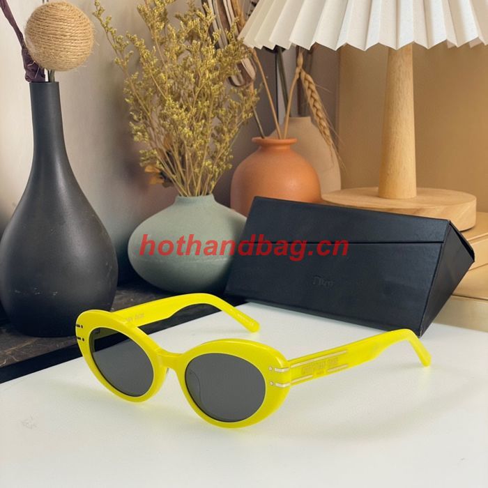 Dior Sunglasses Top Quality DIS01751
