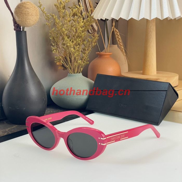 Dior Sunglasses Top Quality DIS01753