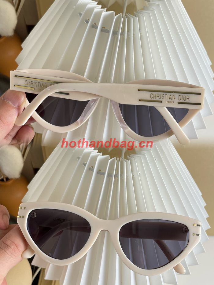 Dior Sunglasses Top Quality DIS01755
